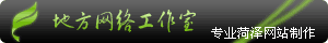 因为执着 所以专业 菏泽网站建设 地方网络工作室